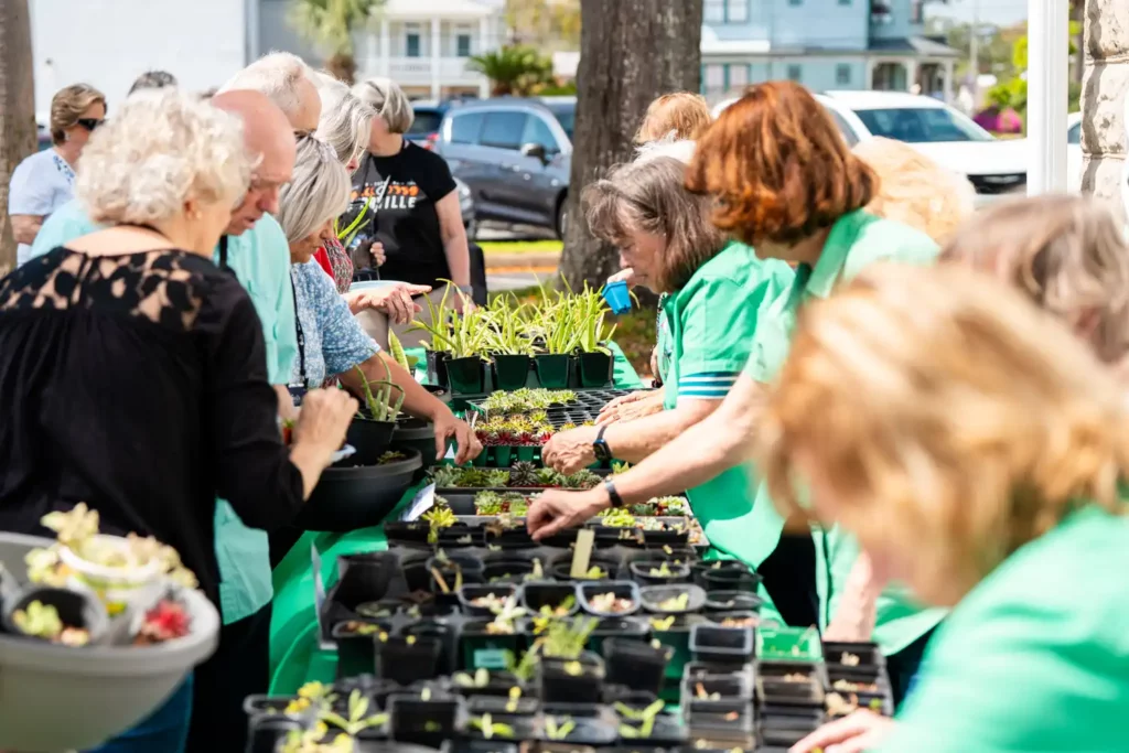 Corporate Event Photography & Videography 12 Guests gathered around long tables of potted plants at an outdoor community gardening event