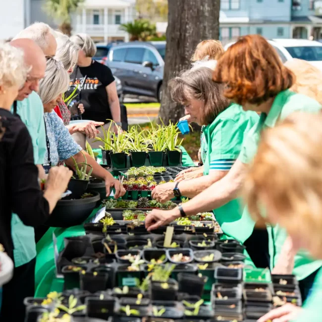 Corporate Event Photography & Videography in Pensacola | KDH Productions 2 swan capital gardening event