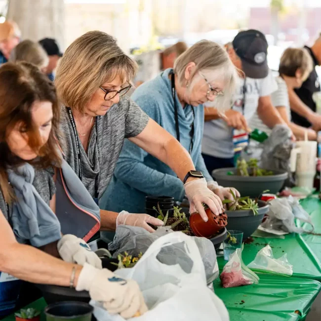 Corporate Event Photography & Videography in Pensacola | KDH Productions 11 swan capital gardening event